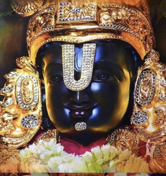 Sri Kerala Mahakali Best Astrologer in Hassan Karnataka